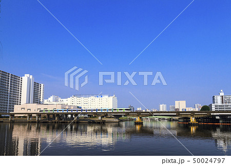 立会川(初夏) 立会川(初夏) 50024797