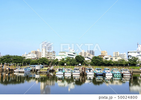 立会川(初夏) 立会川(初夏) 50024800