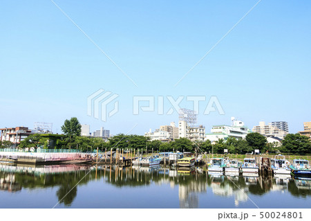 立会川(初夏) 立会川(初夏) 50024801