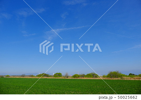 利根河原の牧草地 50025662