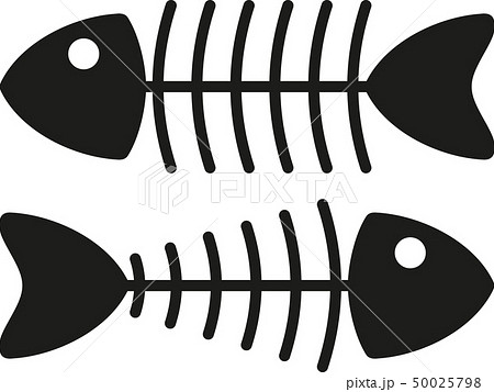 skeleton of fish skeleton of fish 50025798