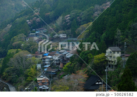 大塔町辻堂の春（奈良県五條市大塔） 50026582