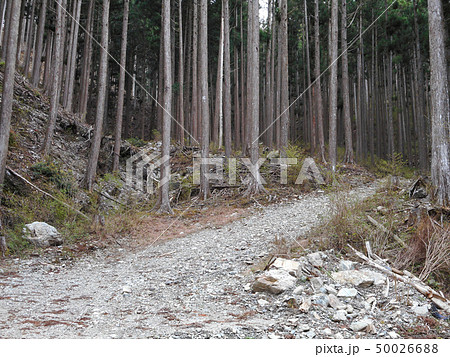 山奥の砂利道 50026688