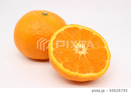 《くだもの》 なつみ 柑橘 みかん 《くだもの》 なつみ 柑橘 みかん 50026795