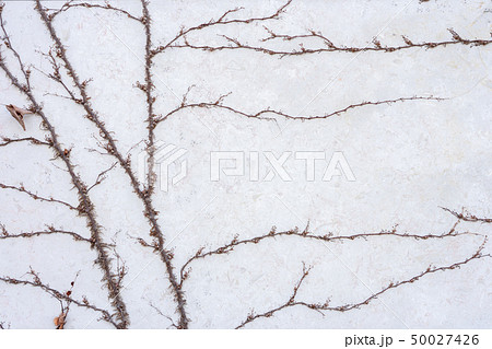 The wall is made of brick and then painted in 50027426