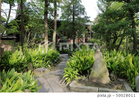 證誠寺(木更津市) 50028011