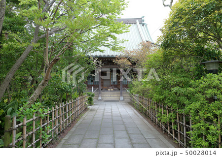 證誠寺(木更津市) 50028014