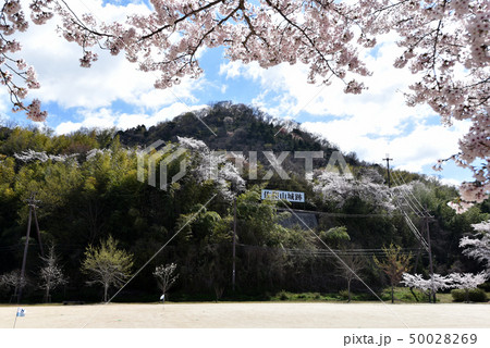 春の佐和山城跡 50028269