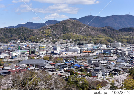 彦根城から佐和山を遠望 50028270