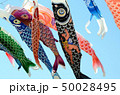 鯉のぼり 50028495