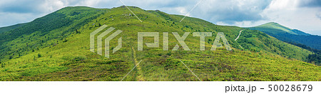 beautiful summer landscape in mountains beautiful summer landscape in mountains 50028679