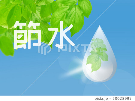節水 水滴と葉 節水 水滴と葉 50028995