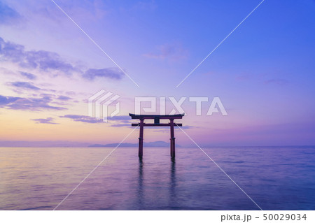 滋賀県　白鬚神社　 50029034