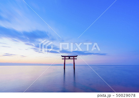 滋賀県 白鬚神社 滋賀県 白鬚神社 50029078