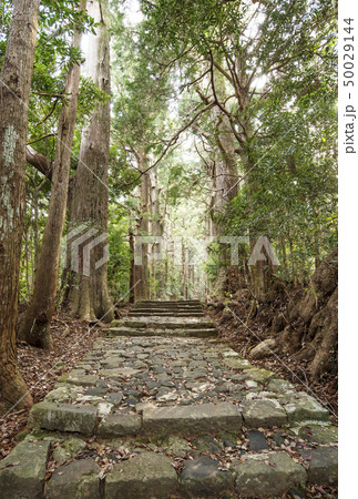 熊野古道 大門坂 熊野那智大社 那智勝浦観光 熊野古道 大門坂 熊野那智大社 那智勝浦観光 50029144