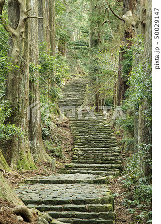 熊野古道 大門坂 熊野那智大社 那智勝浦観光 熊野古道 大門坂 熊野那智大社 那智勝浦観光 50029147