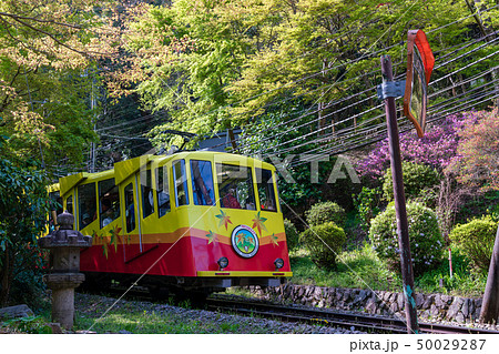 高尾山ケーブルカー もみじ号 清滝駅 高尾山ケーブルカー もみじ号 清滝駅 50029287