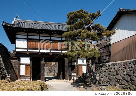 大手門 50029386