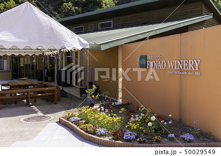 岡山県倉敷市　船穂町　船穂ワイナリー 50029549