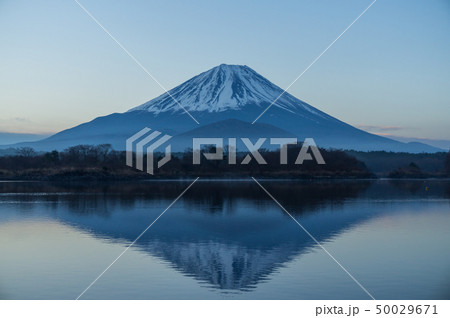 富士山と精進湖の朝焼け 富士山と精進湖の朝焼け 50029671