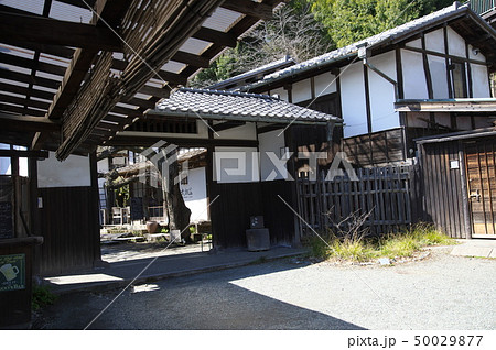 梅が咲く早春の武相荘 梅が咲く早春の武相荘 50029877