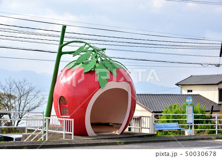 フルーツバス停 小深井バス停 長崎県諫早市小長井町 フルーツバス停 小深井バス停 長崎県諫早市小長井町 50030678