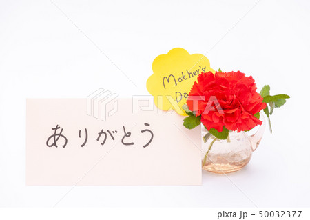 カーネーションとカード カーネーションとカード 50032377