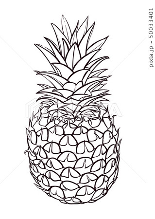 Hand drawn illustration of pineapple. Vector picture Hand drawn illustration of pineapple. Vector picture 50033401