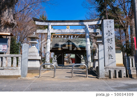 聖蹟桜ヶ丘 小野神社 50034309