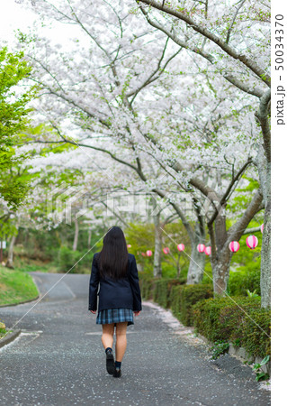 女の子　高校生　桜　春 50034370