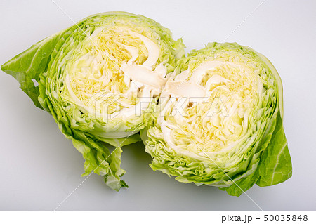 キャベツ キャベツ 50035848