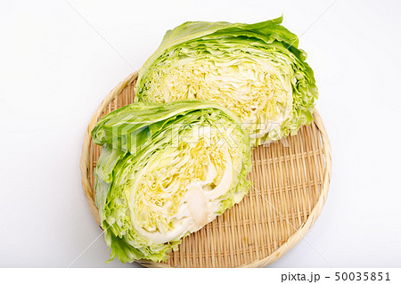 キャベツ 50035851