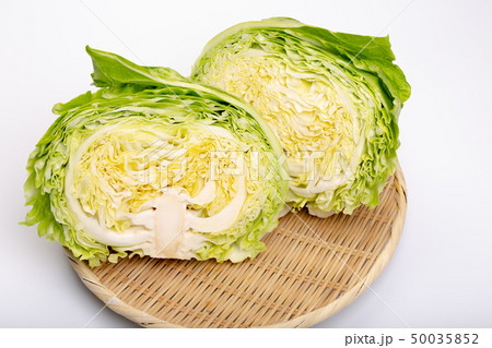 キャベツ 50035852