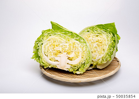 キャベツ 50035854