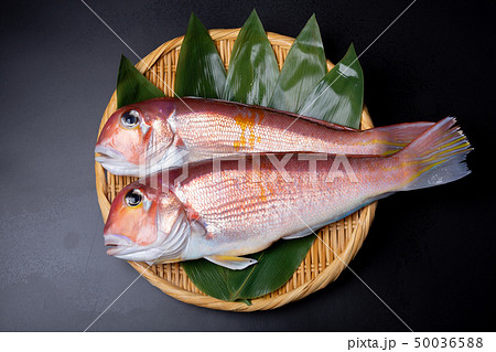 甘鯛 食材 甘鯛 食材 50036588