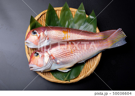 甘鯛 食材 甘鯛 食材 50036604