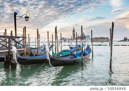 Morning in Venice 50036848
