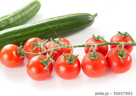 夏野菜 ミニトマトとキュウリ 夏野菜 ミニトマトとキュウリ 50037003