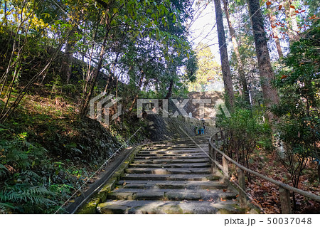 田辺市 高山寺 参道 階段の写真素材