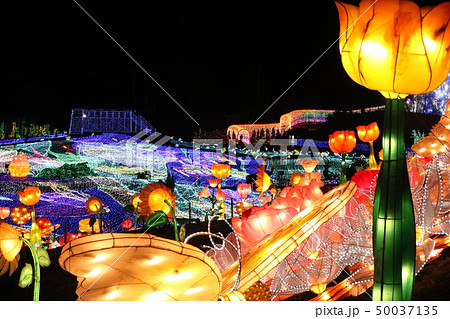 イルミネーション 50037135