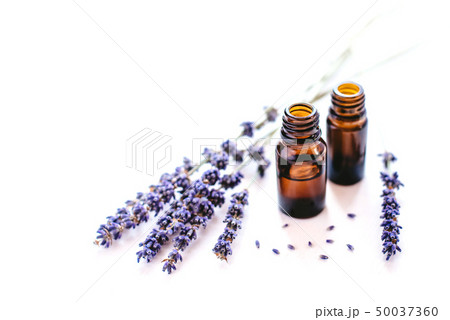 Dried lavender with a bottle of essential oil Dried lavender with a bottle of essential oil 50037360