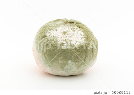 マンダリンミカンに感染したペニシリウム・ディギタータム アオカビ マンダリンミカンに感染したペニシリウム・ディギタータム アオカビ 50039115