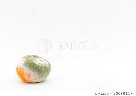 マンダリンミカンに感染したペニシリウム・ディギタータム アオカビ マンダリンミカンに感染したペニシリウム・ディギタータム アオカビ 50039117