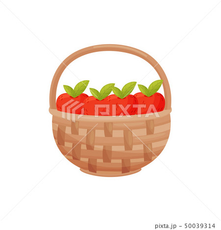 Red Apples In A Basket Isolated On White のイラスト素材