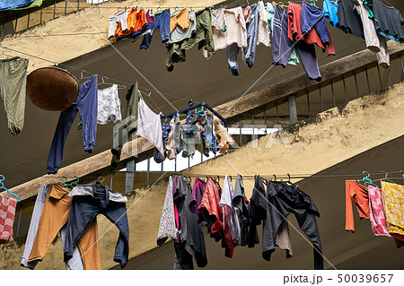 Rows of hanging clothes which drying outdoors 50039657