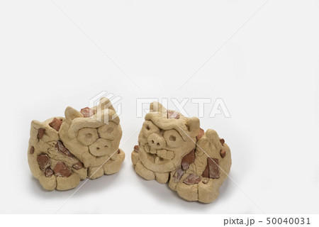 しーさー 50040031