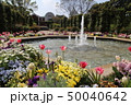 【神奈川県】港の見える丘公園（ローズガーデン） 50040642