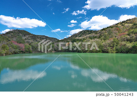 【長船美しい森公園の池】 岡山県瀬戸内市長船町磯上 50041243