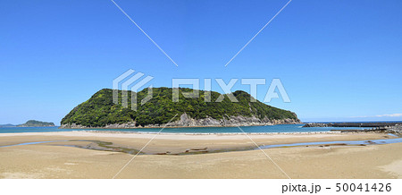 幸島・猿が島 50041426