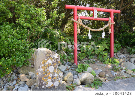 幸島_金刀比羅宮鳥居 50041428